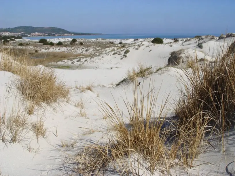 Capo Comino, le dune